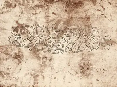 Bio