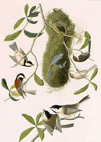 Bio